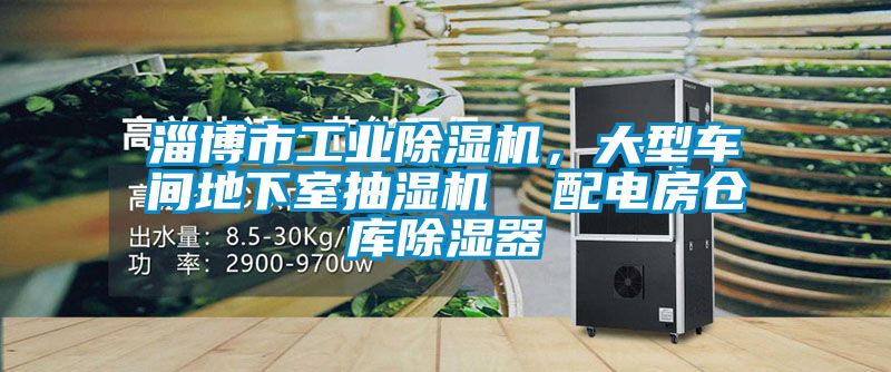 淄博市工業(yè)除濕機，大型車間地下室抽濕機  配電房倉庫除濕器