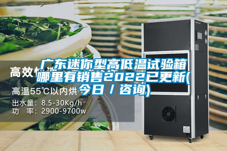 廣東迷你型高低溫試驗(yàn)箱哪里有銷(xiāo)售2022已更新(今日／咨詢(xún))