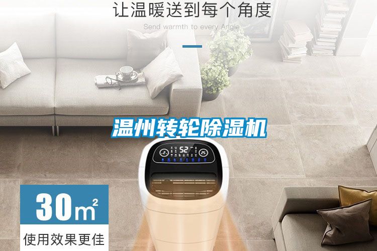 溫州轉(zhuǎn)輪除濕機