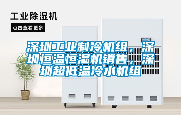 深圳工業(yè)制冷機組，深圳恒溫恒濕機銷售，深圳超低溫冷水機組