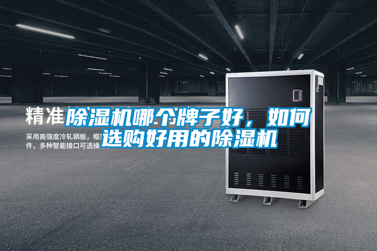 除濕機(jī)哪個(gè)牌子好，如何選購(gòu)好用的除濕機(jī)