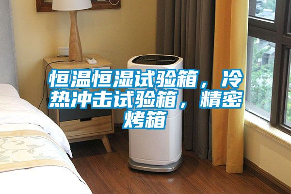 恒溫恒濕試驗(yàn)箱，冷熱沖擊試驗(yàn)箱，精密烤箱