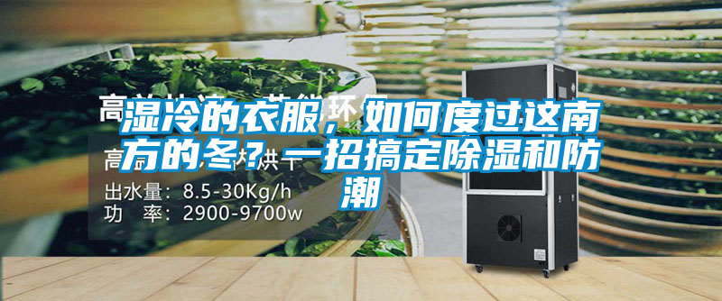 濕冷的衣服，如何度過這南方的冬？一招搞定除濕和防潮