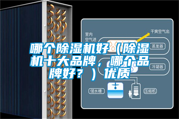哪個(gè)除濕機(jī)好（除濕機(jī)十大品牌，哪個(gè)品牌好？）優(yōu)質(zhì)