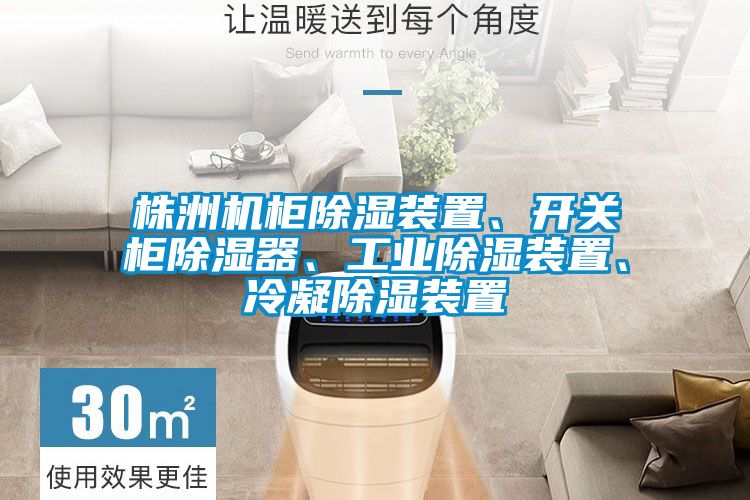 株洲機(jī)柜除濕裝置、開關(guān)柜除濕器、工業(yè)除濕裝置、冷凝除濕裝置