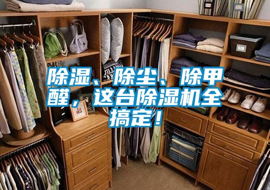 除濕、除塵、除甲醛，這臺(tái)除濕機(jī)全搞定！