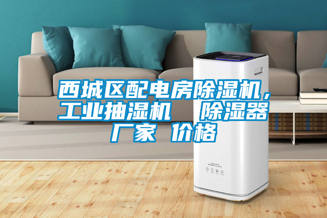 西城區(qū)配電房除濕機(jī)，工業(yè)抽濕機(jī)  除濕器廠家 價(jià)格