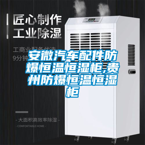 安微汽車(chē)配件防爆恒溫恒濕柜,貴州防爆恒溫恒濕柜