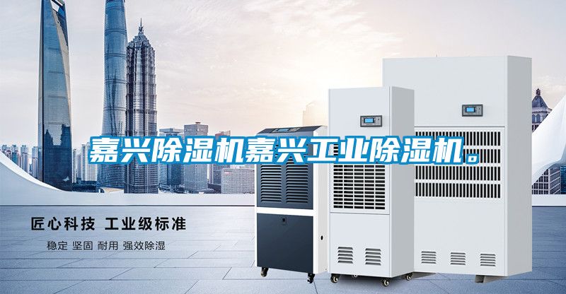 嘉興除濕機嘉興工業(yè)除濕機。