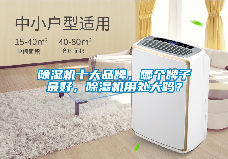 除濕機十大品牌，哪個牌子最好，除濕機用處大嗎？
