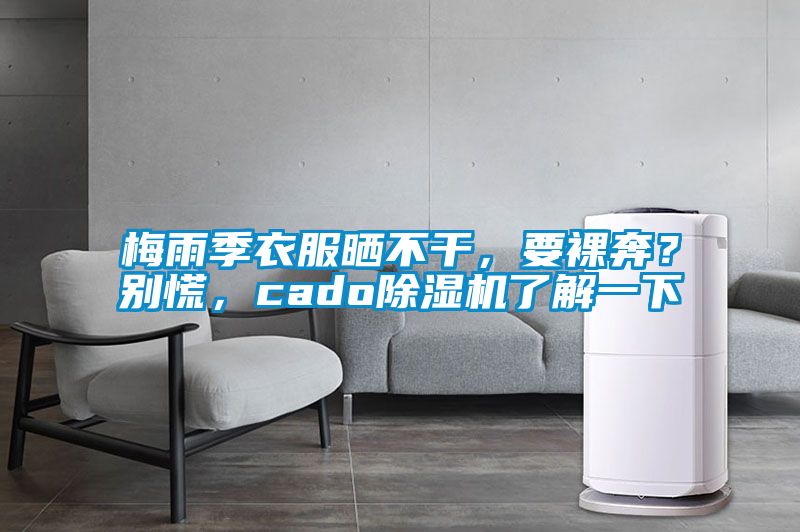 梅雨季衣服曬不干，要裸奔？別慌，cado除濕機(jī)了解一下