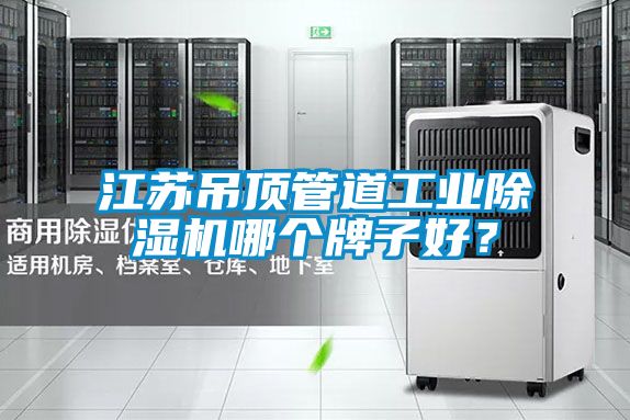 江蘇吊頂管道工業(yè)除濕機(jī)哪個(gè)牌子好？